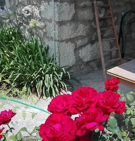 Casa Sasa Hébergement de vacances *